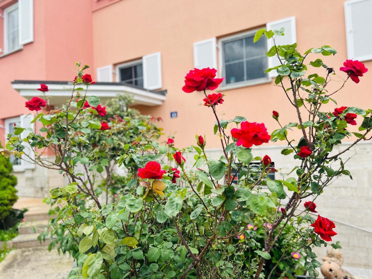 Casa Cino Apartment Umag Exterior photo